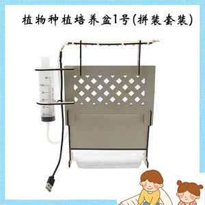 Kit de cultivo de plantas para niños, experimento científico, juguete educativo, modelo DIY, ensamblaje manual de plástico, herramienta de aprendizaje STEM, edad 4-6 años - Product Image 5