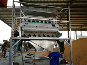 LÚA MẠCH colour separator máy trong hợp phì màu SORTER thị trường cho ngũ cốc màu phân loại máy