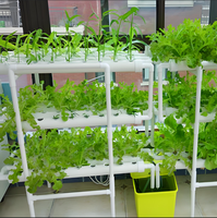 Système hydroponique vertical aéroponique Zewo, robuste et stable, facile à assembler, en ABS de qualité alimentaire pour économiser l'eau et favoriser la croissance des plantes.