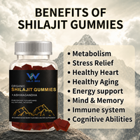 Gummies de Shilajit pour adultes, saveur baies, matière première himalayenne, gummies nutritifs, fabricant en gros