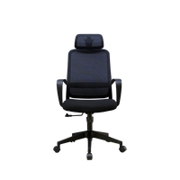 Chaise de bureau ergonomique en maille avec soutien lombaire réglable, chaise pivotante pour ordinateur pour un soutien optimal du bas du dos