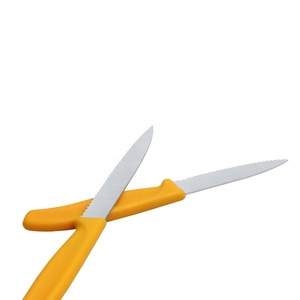 Vendita calda 3Cr13 <span class=keywords><strong>in</strong></span> <span class=keywords><strong>acciaio</strong></span> inox 2pcs coltello <span class=keywords><strong>da</strong></span> <span class=keywords><strong>bistecca</strong></span> con manico ergonomico <span class=keywords><strong>in</strong></span> plastica - Product Image 6