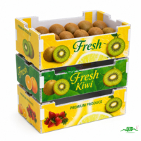Op maat gemaakte PP plastic waterdichte golfkartonnen doos voor fruit- en groentevervoer, opvouwbaar en geschikt voor opslag
