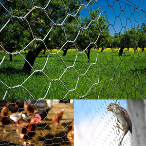 Galvanized Hexagonal Chicken <b>Wire</b> <b>Mesh</b> Roll Low Carbon Iron <b>Wire</b> Netting for Poultry Breeding Cage Garden Fence Enclosure - Product Image 3