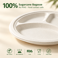 Plateau léger et polyvalent en bagasse de canne à sucre à 3 compartiments pour service de buffet