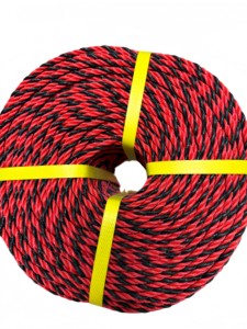 <span class=keywords><strong>2025</strong></span> Mới Đến Cường Độ Cao Trọng Lượng Nhẹ Xoắn 6Mm 8Mm 10Mm 12Mm PE PP Dây Cho Câu Cá Biển Và Bao Bì - Product Image 4