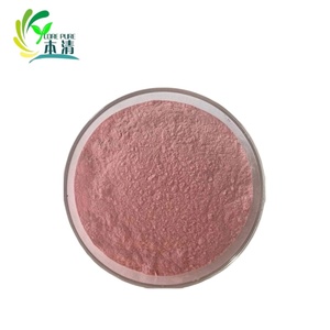 Suministro de fábrica, polvo de fruta de Granada de grado alimenticio de alta calidad, polvo de jugo de fruta, fruta de hierbas naturales extraída - Product Image 3