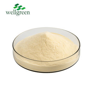 Wellgreen Supply <strong>Bromelain</strong> Juice Extract Leaf Freeze Dried Fruit Fermented Concentrate Pineapple Powder - Product Image 2