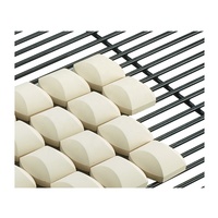 Briquettes autonettoyantes en céramique de gril de gaz pour le gril de BBQ