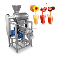 Machine à Fabriquer la Pulpe de Mangue, Extracteur de Jus à Vis pour la Production de Pulpe de Carotte et de Tomate