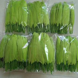 10-15cm <span class=keywords><strong>prix</strong></span> <span class=keywords><strong>d</strong></span>'usine en gros vente chaude plumes <span class=keywords><strong>d</strong></span>'<span class=keywords><strong>oie</strong></span> naturelles <span class=keywords><strong>d</strong></span>écoratives en vrac plumes de <span class=keywords><strong>duvet</strong></span> <span class=keywords><strong>d</strong></span>'<span class=keywords><strong>oie</strong></span> à vendre - Product Image 5