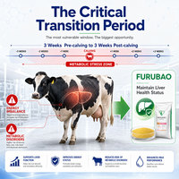 Pienso de premezcla compuesto 0.1% para rumiantes DL Metionina, cloruro de colina, vitaminas y minerales complejos para piensos animales