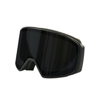 AIDY lunettes de ski magnétiques lunettes de snowboard personnalisées lunettes de ski pour hommes femmes logo personnalisé imprimé lunettes de ski Gafas de nieve