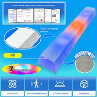 Poutre d'équilibre pour l'intégration sensorielle des enfants - Pont de marche en plastique coloré et lumineux, jouet stimulant pour les enfants
