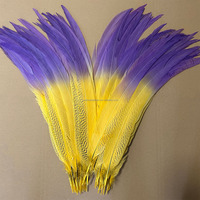 Grossiste 70-75 cm Plumes de queue de faisan argentées bicolores accessoires de danse carnaval décoration coiffe sac à dos