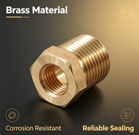 Bushing Hex Reducer Kuningan Male to Female Flange Berlapis Cat, Adaptor Fitting Pipa untuk Sistem Pneumatik, Air, dan Gas 2