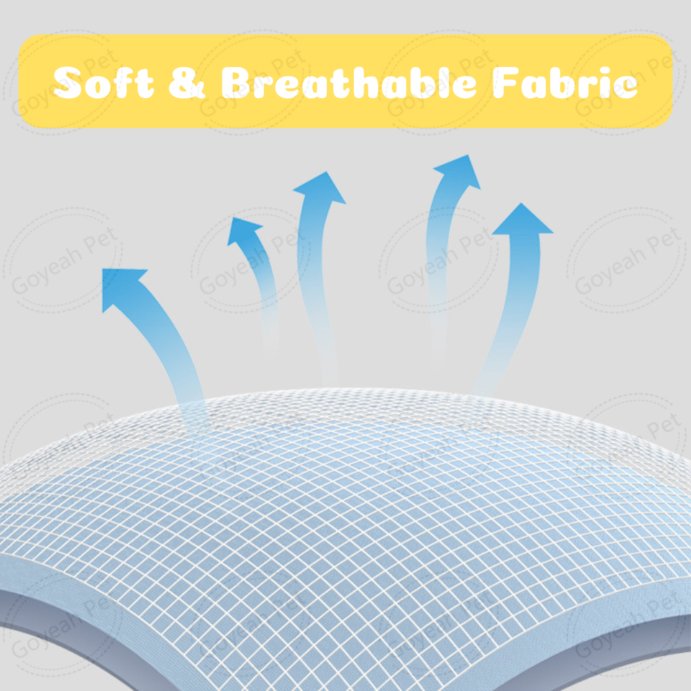 birds dress for animals