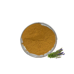 倉庫無料サンプル専門工場供給ヒソップ（Hyssopus Officinalis）エキス粉末 - Product Image 1