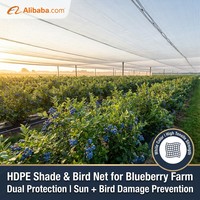 Filet d'ombrage respirant en HDPE pour fraises, bleuysants et baies, protection double contre le soleil et les oiseaux pour fermes