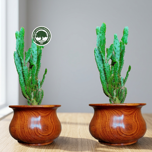 Pot de fleurs en bois sculpté à la main RIKSH, style rustique, conteneur écologique pour plantes, décoration intérieure - Product Image 4