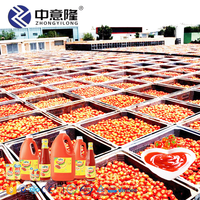 Automatische Tomaat/Chilipasta Productielijn Machine Voor Voedingsindustrie Beste Prijs Fabrikant Voor Verwerking Planten Tomaten