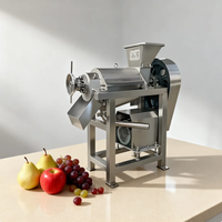 Efficiënte commerciële spiraalpers - hoogproductieve fruit- en groentesapmachine voor gebruik in restaurants en fruitverwerkingsbedrijven