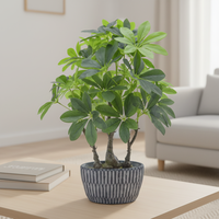 OH ARTS Vente d'usine : Plantes artificielles de jardin, Arbre Schefflera, Palmier, Grand modèle de table pour la décoration d'hôtels et de maisons