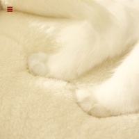Personalizable Otoño Invierno cálido gato nido y perro perrera lindo Coral terciopelo personalizado gato sofá patrón sólido transfronterizo