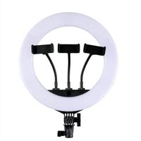 Vente en gros de trépieds pour téléphone portable avec anneau lumineux LED pour la beauté, le maquillage, le streaming en direct, la photo et la vidéo, 10, 12, 14, 16, 18 pouces