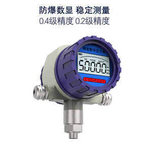 Manomètre numérique 100 mm -0,1 à 260 bars, antidéflagrant, avec contacts électriques - Product Image 3