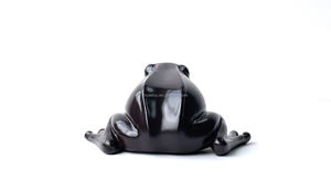 Offre Spéciale : Miniature de grenouille en résine artisanale de <span class=keywords><strong>Harry</strong></span> <span class=keywords><strong>Potter</strong></span> – Cadeau unique pour les fans - Product Image 5