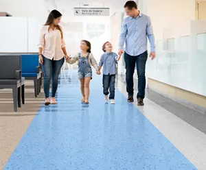 Hospital Anti-Static Floor/Operating room Anti-Static Floor/Medical Anti-Static floor system