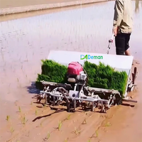 Machine à repiquer le riz à 6 rangs, machine à planter le riz, machine à repiquer le riz paddy