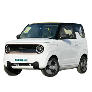 Geely mini 2023 200km Spring Festival edition Treasure Bear electric car convenient white electric car