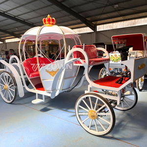 รถม้าแต่งงานสุดหรูแบบซินเดอเรลล่า พร้อมม่านกันฝนและไฟ LED - Product Image 5