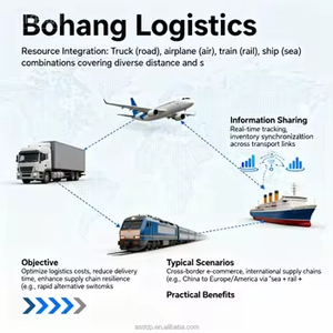 중국 특급 항공화물 운송업자인 BHC 물류, 온라인 쇼핑을 위한 4-6 일 환승 및 호별 배송 제공 - Product Image 3