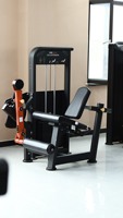 Appareil de musculation professionnel à charges guidées pour l'extension des jambes horizontale