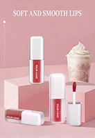 Gloss à lèvres 6 couleurs personnalisable avec logo, longue tenue, transparent, brillant, avec couvercle blanc, maquillage pigmenté, vente en gros