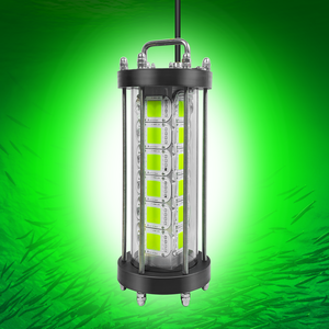 Lampe <span class=keywords><strong>de</strong></span> pêche nocturne 220V 800W 1000W 2000W 3000W 4000W 5000W pour attirer les poissons, lampe <span class=keywords><strong>de</strong></span> pêche au calmar verte cyan LED pour quais et bateaux - Product Image 1