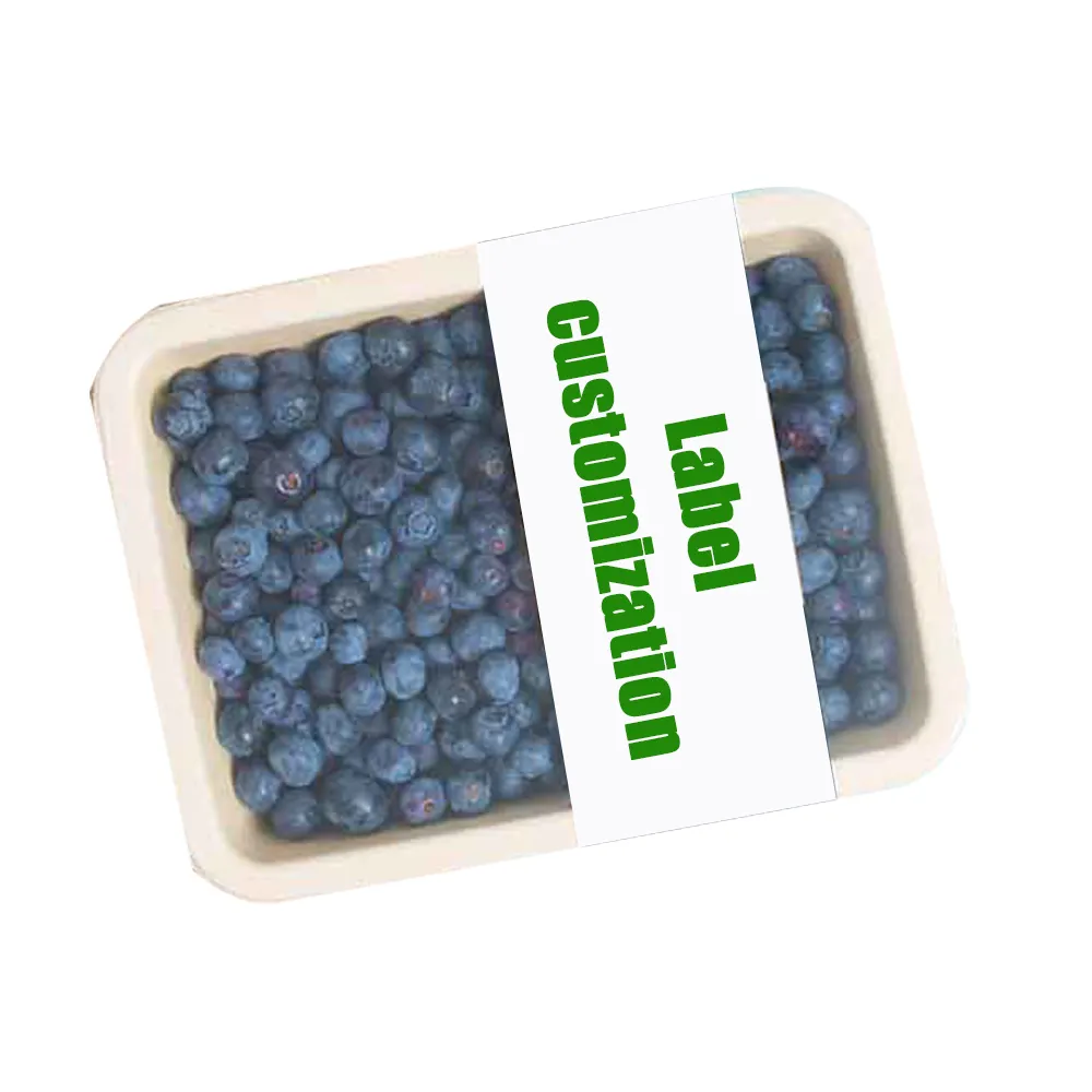 FILM-SEALABLE de stratification de revêtement PLA PET personnalisé emballage alimentaire biodégradable de plateau de pulpe de fibre pour fruits frais