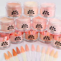 Lot de 9 couleurs de poudre acrylique nude pour ongles, poudre de trempage, extension, construction, conception de motifs, gel pour ongles, fournitures professionnelles
