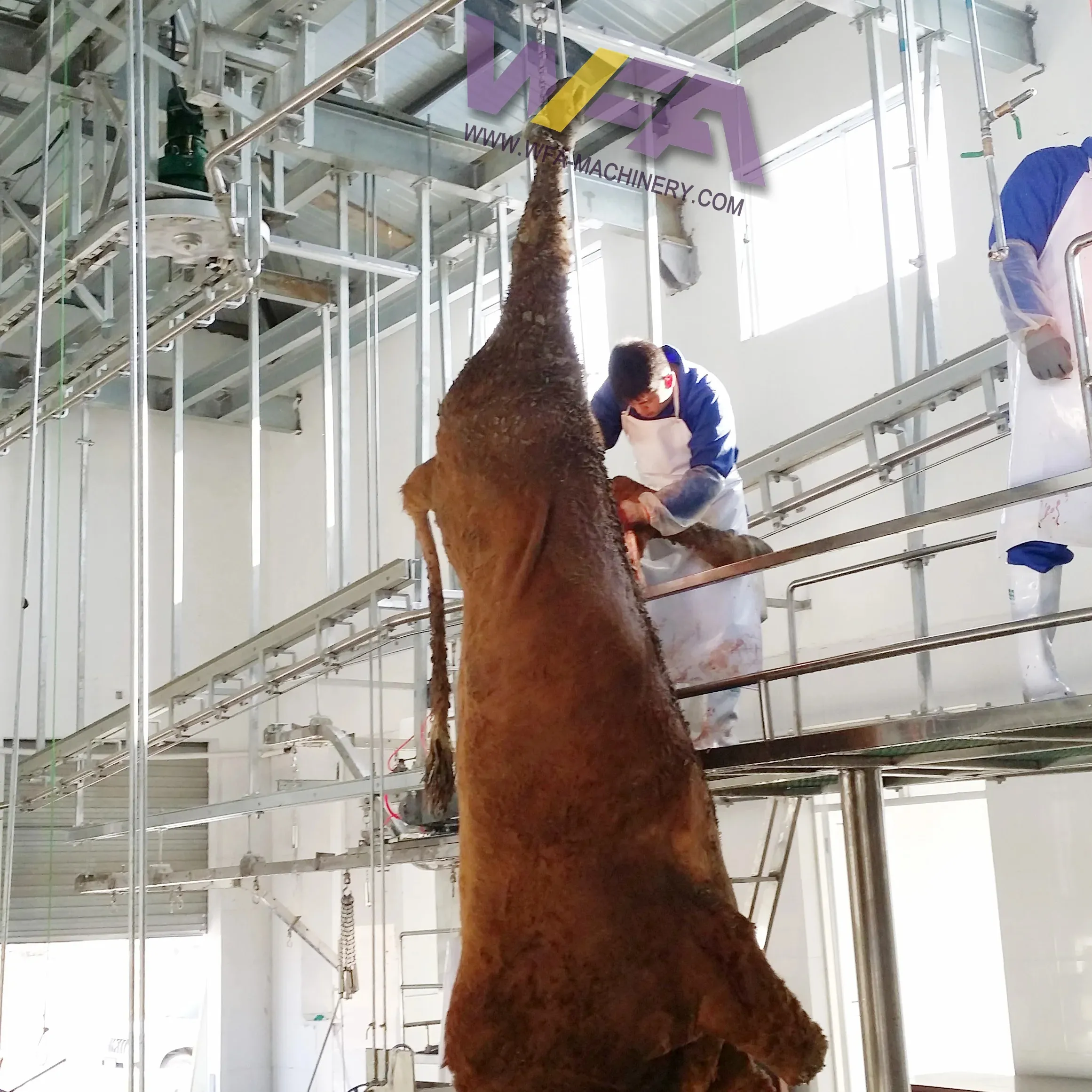 Proyecto llave en mano musulmán Halal ganado matadero equipo vaca matadero línea para búfalo matanza máquina