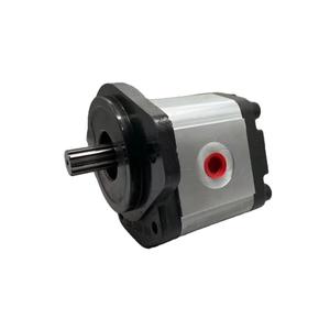 Pièces de machines de construction, pompe à engrenages 1PLA36DG09R - Product Image 2