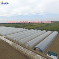 Serre tunnel en PE à simple travée pour la production de légumes au Moyen-Orient, avec un rendement élevé et une agriculture économe en eau