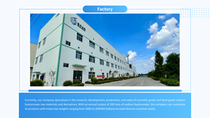 Bubuk HA asam hialuronat Food Grade untuk suplemen makanan & nutraceusential - Product Image 6