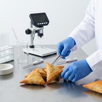 Spring Roll Beku Premium Segitiga - Camilan Samosa Kari Sayuran Renyah untuk Grosir, Restoran & Eceran
