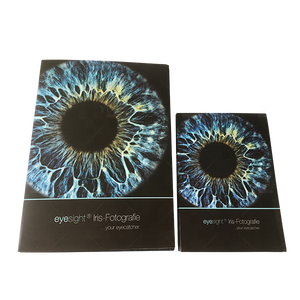 Bìa Đựng Hồ Sơ Nhà Cung Cấp Trung Quốc Giá Thấp Bìa Đựng Tài Liệu Khổ A4 In Logo Tùy Chỉnh - Product Image 2