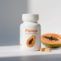 Extrait de papaye en poudre de qualité alimentaire, fourni par l'usine