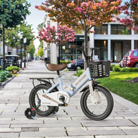 Bicicleta Infantil de 16 Pulgadas con Cuadro de Aleación de Aluminio, Frenos de Línea, Pedales Ordinarios, Una Velocidad, Ruedas de Entrenamiento, Suspensión Delantera/Trasera, Plástico