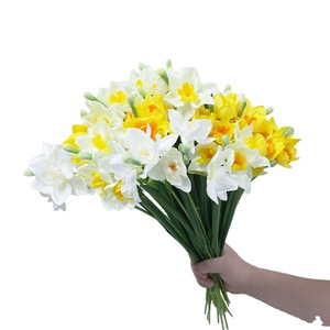 7 Ramos de peonía simulación de múltiples cabezas de flores buena calidad decoración del hogar al por mayor - Product Image 3